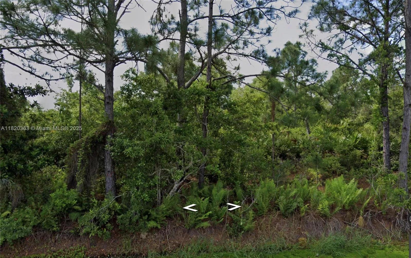 1008 NW Concorde Pkwy, Lake Placid, FL 33852
