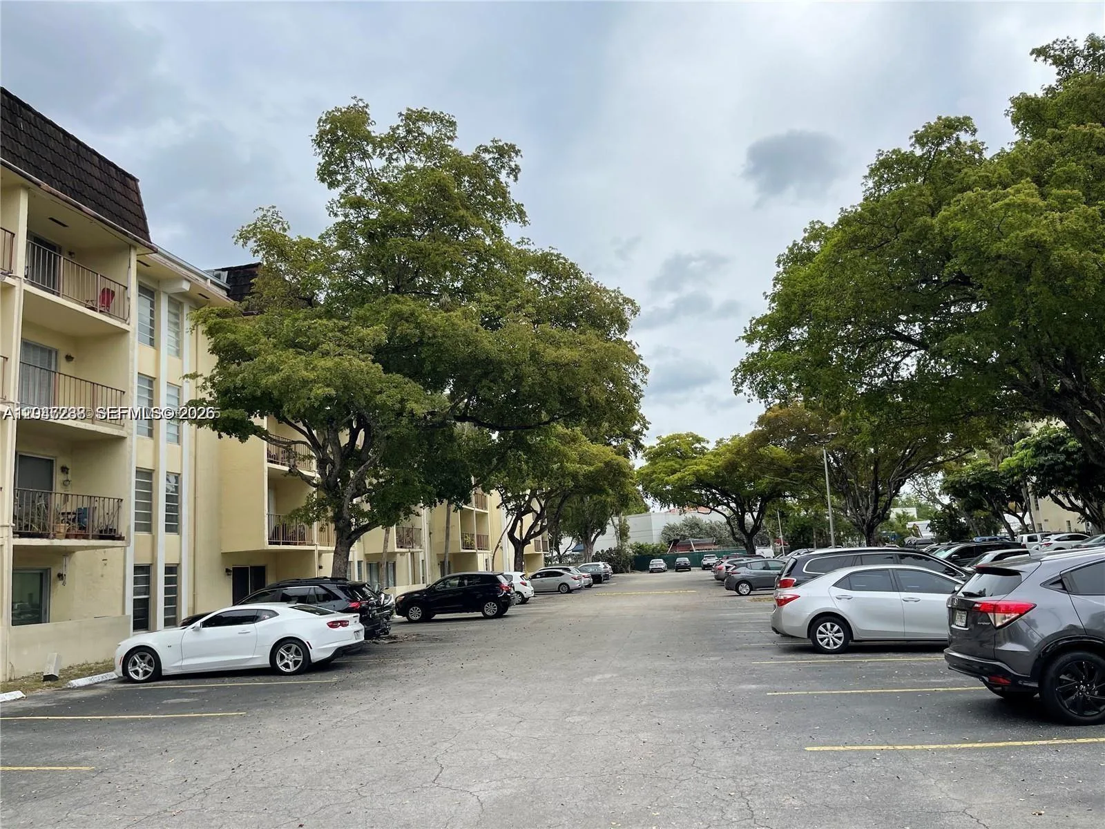 12035 NE 2nd Ave # A209, North Miami, FL 33161