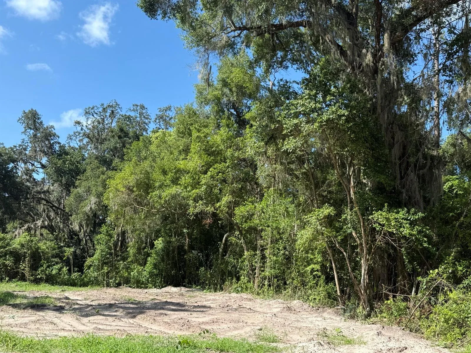 115 Roddy Lane, Palatka, FL 32177 photo 2