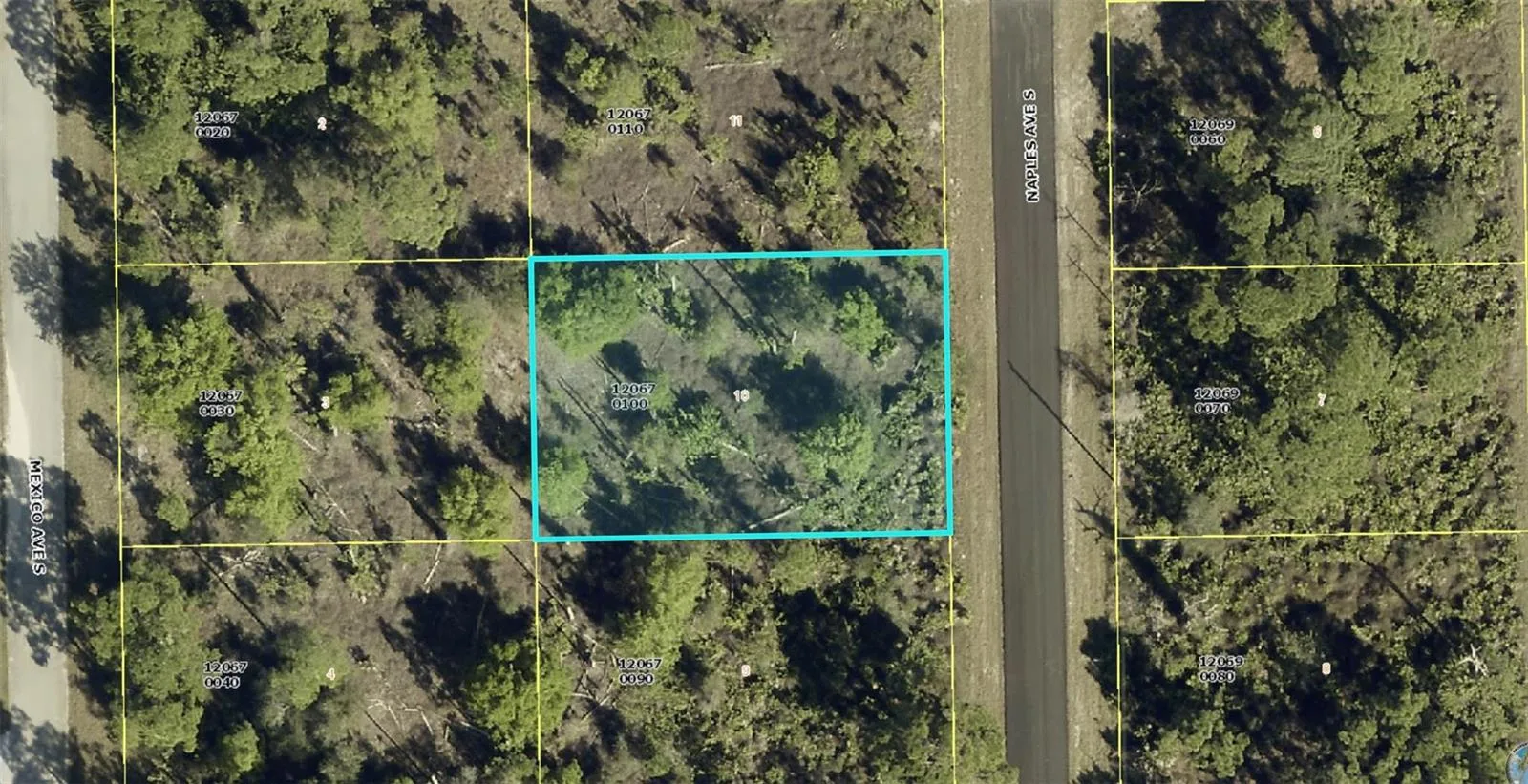 1012 Naples Avenue, Lehigh Acres, FL 33974