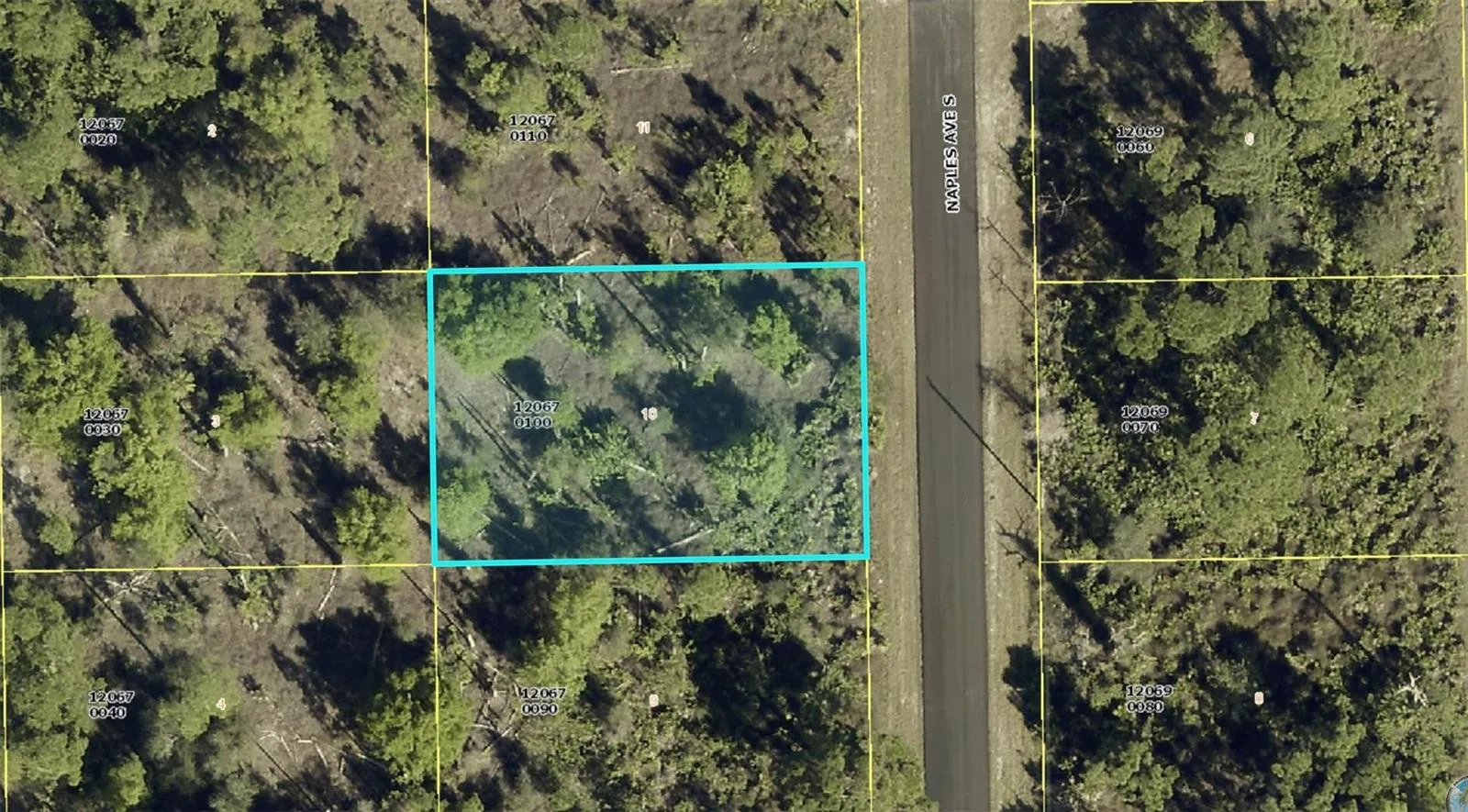 1012 Naples Avenue, Lehigh Acres, FL 33974 photo 2