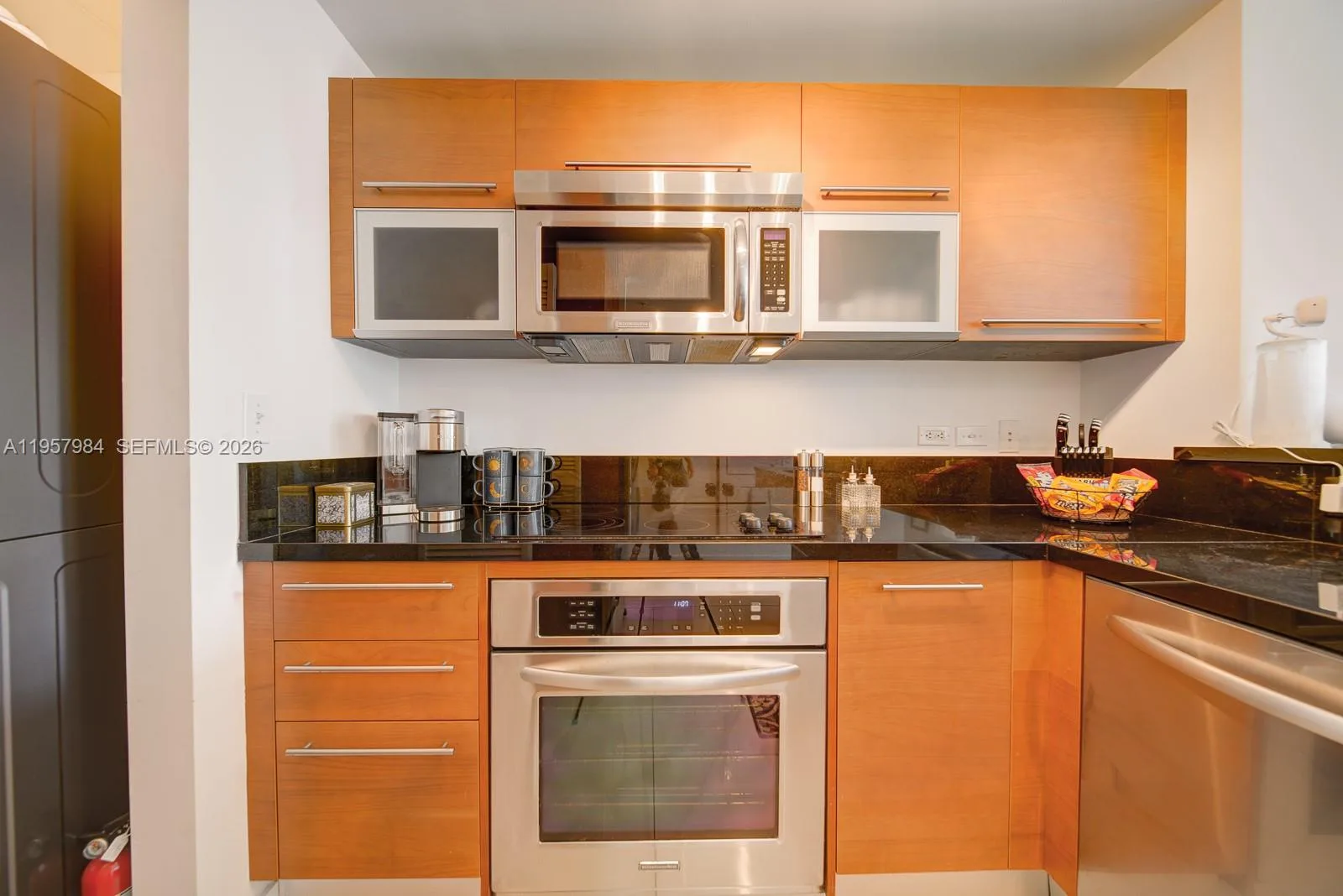 244 Biscayne Blvd # 2309, Miami, FL 33132 photo 4