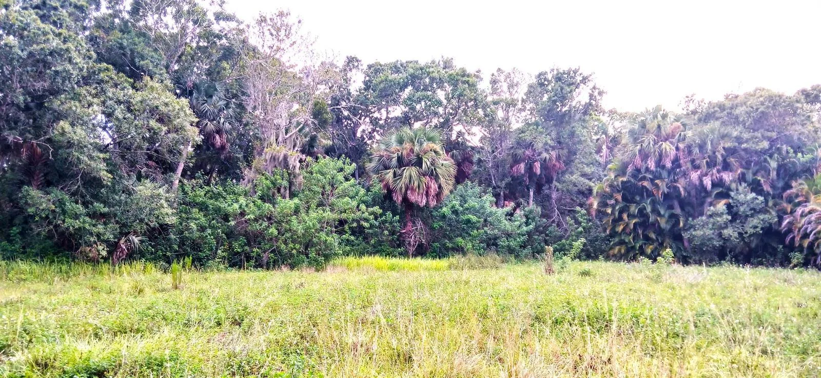 0000 S Us-1, Fort Pierce, FL 34982