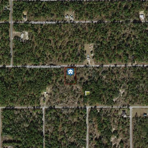 00000 NW Mallard Avenue, FL 34431