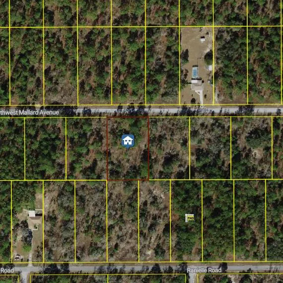 00000 NW Mallard Avenue, FL 34431 photo 2