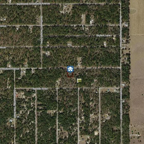 00000 NW Mallard Avenue, FL 34431 photo 3