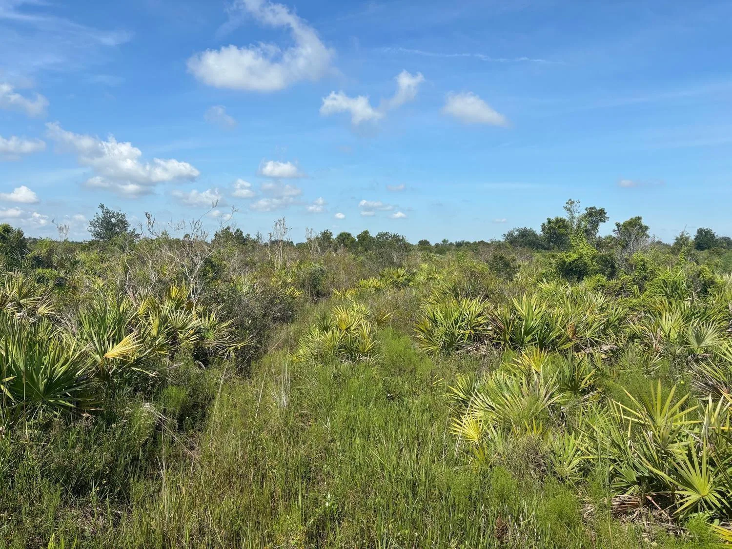 0 NW 312th Street, Okeechobee, FL 34972