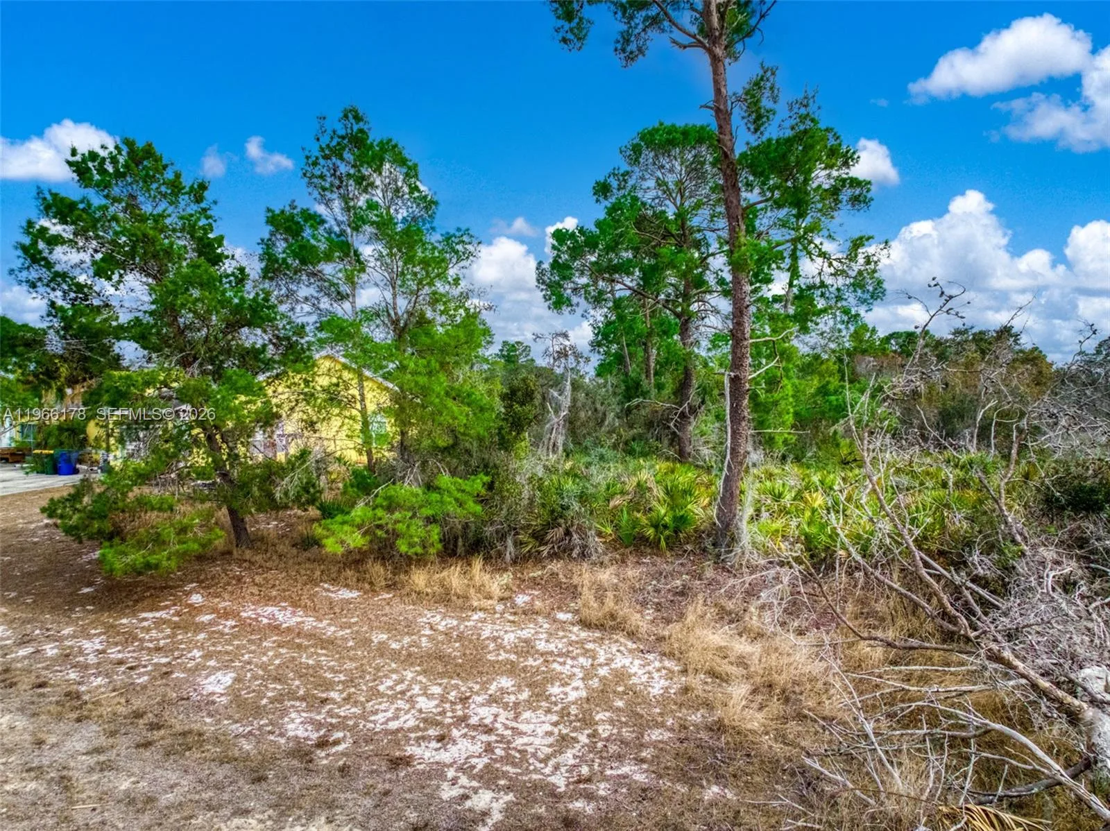 3085 W Scoralick Road, Avon Park, FL 33825
