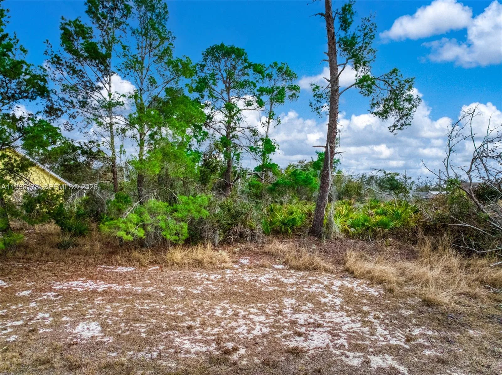 3085 W Scoralick Road, Avon Park, FL 33825 photo 2