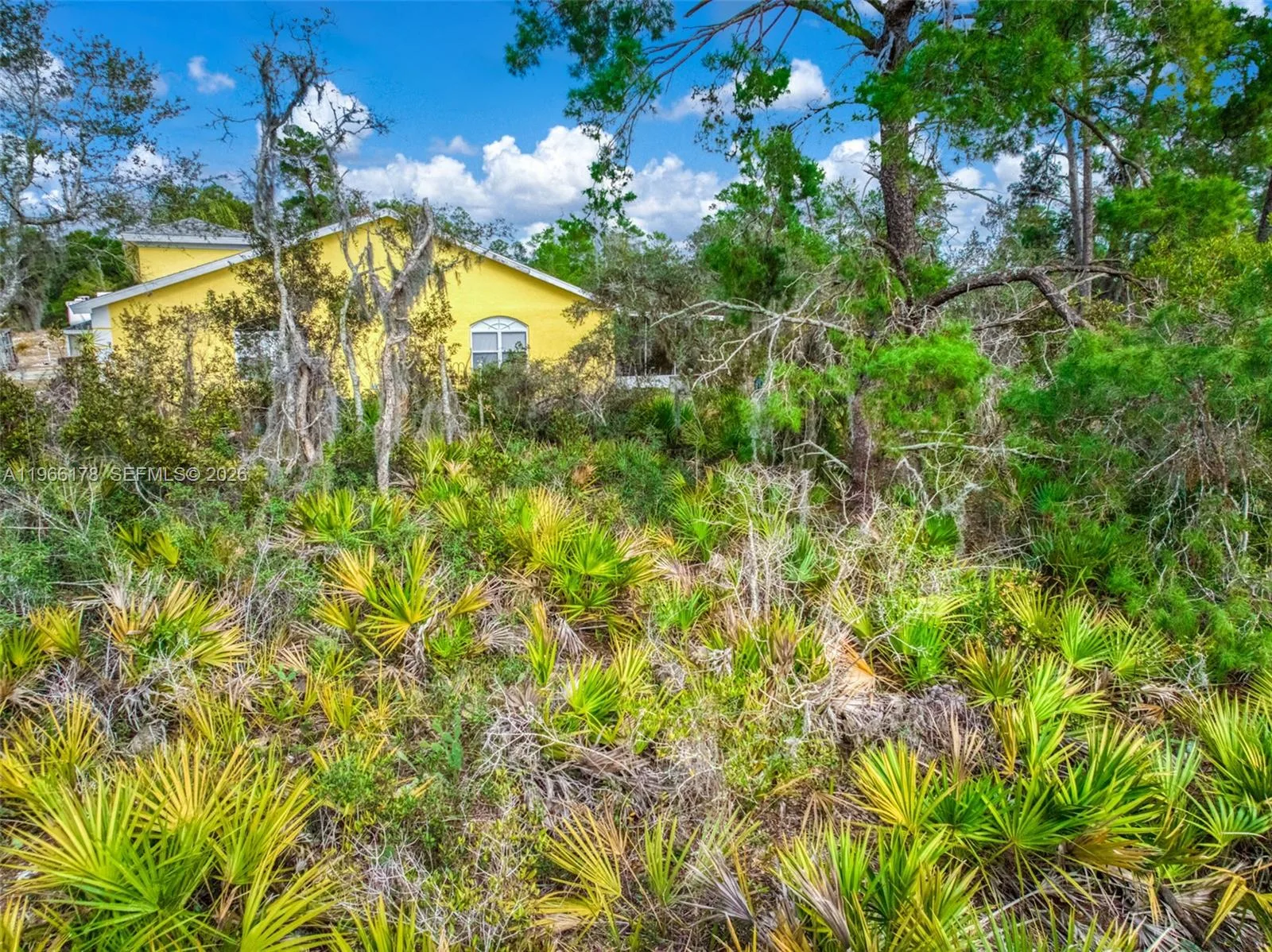3085 W Scoralick Road, Avon Park, FL 33825 photo 3