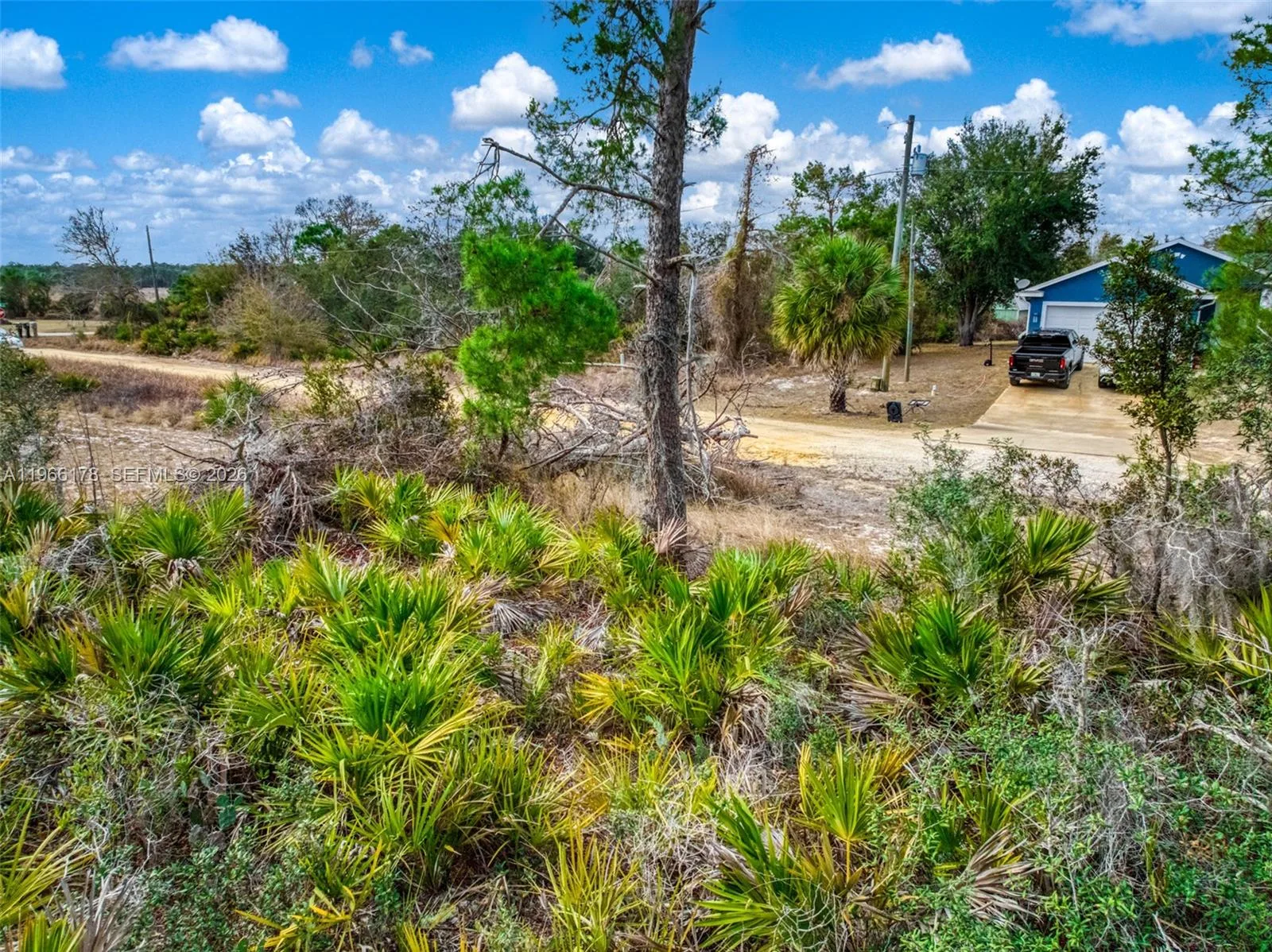 3085 W Scoralick Road, Avon Park, FL 33825 photo 4