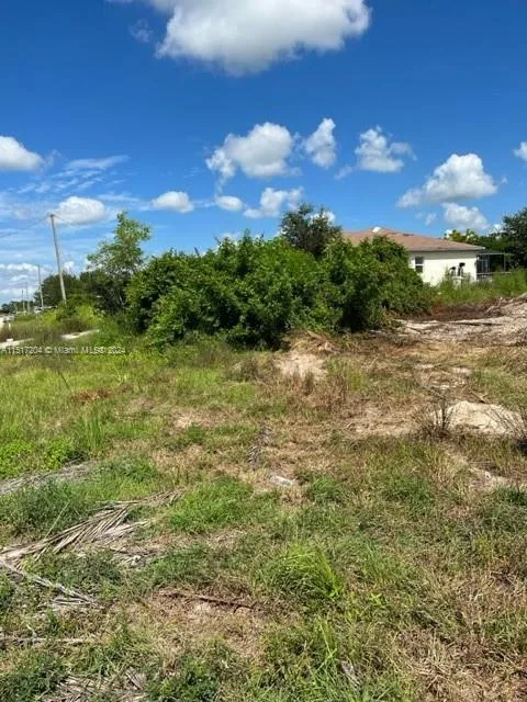 3002 26th st SW, Lehigh Acres, FL 33976 photo 2