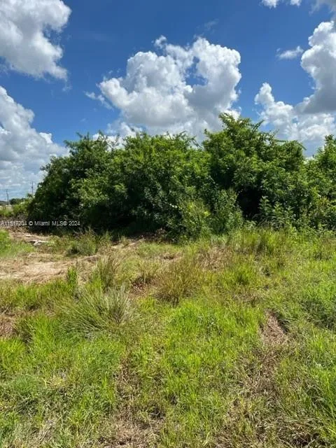 3002 26th st SW, Lehigh Acres, FL 33976 photo 3