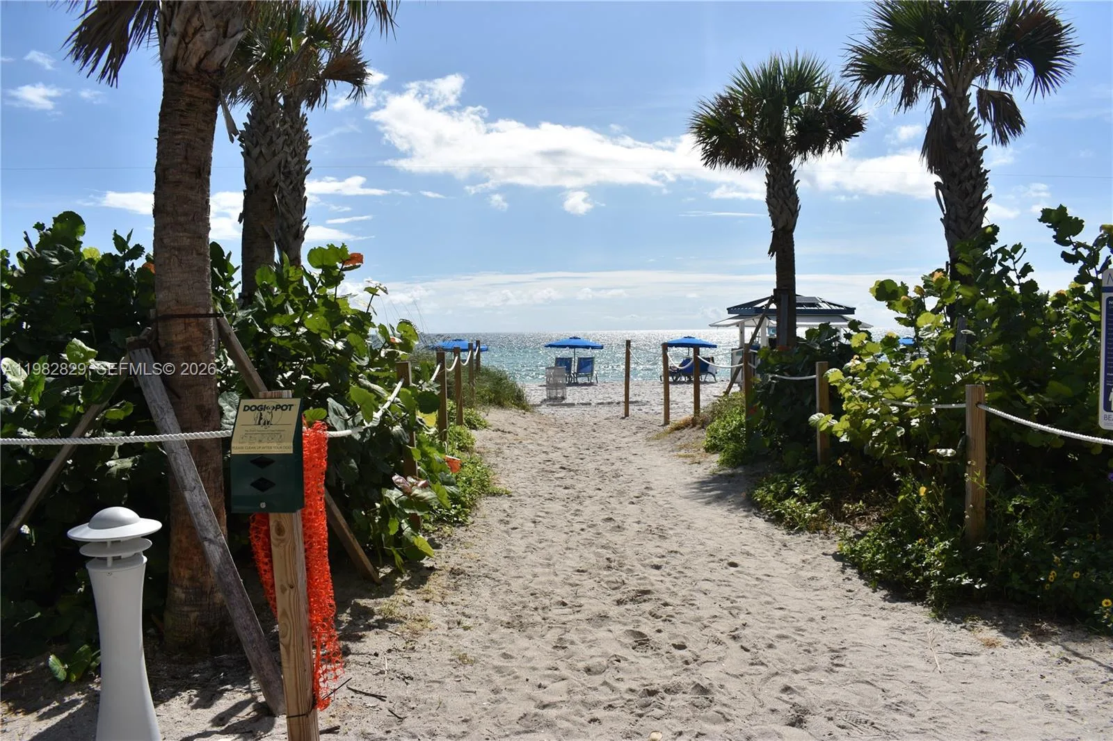6365 Collins Ave # 2106, Miami Beach, FL 33141 photo 3