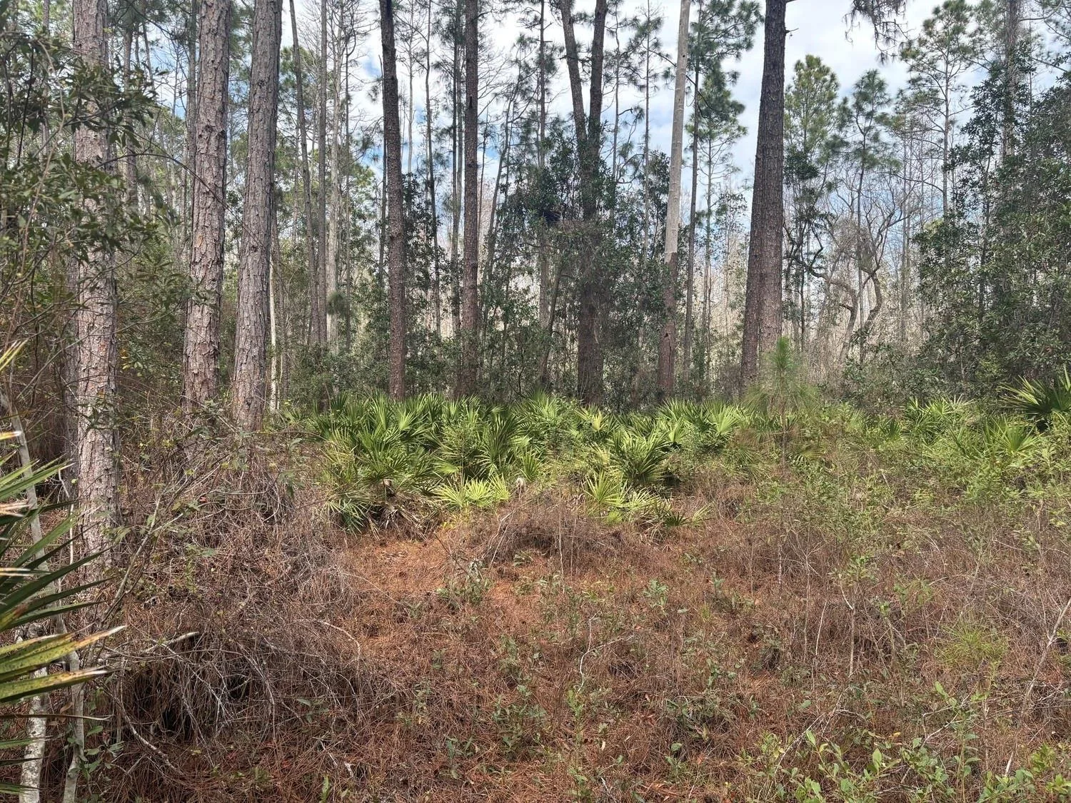 0 Old Grade Road, FL 33868