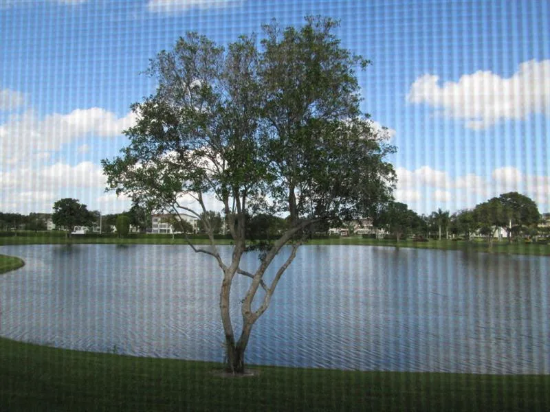 2070 Wolverton D # 2070, Boca Raton, FL 33434 photo 10