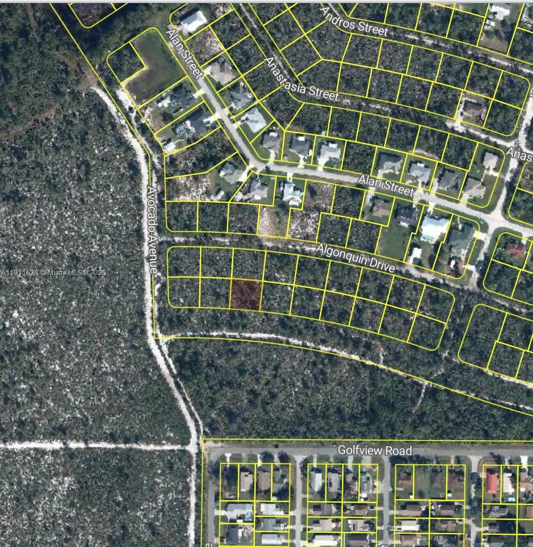 2224 Carla Ave, Sebring, FL 33875 photo 2