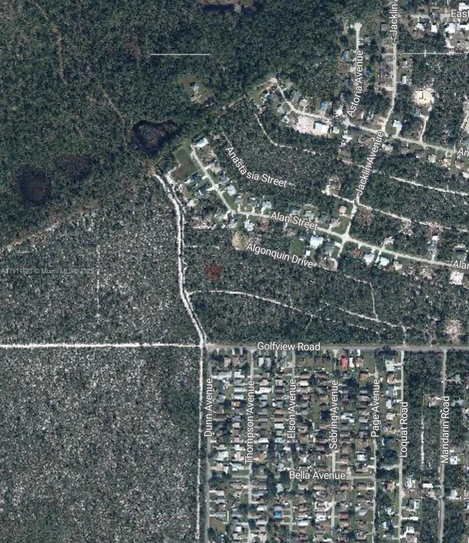 2224 Carla Ave, Sebring, FL 33875 photo 3