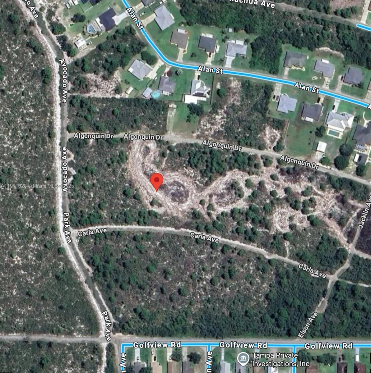 2224 Carla Ave, Sebring, FL 33875 photo 4