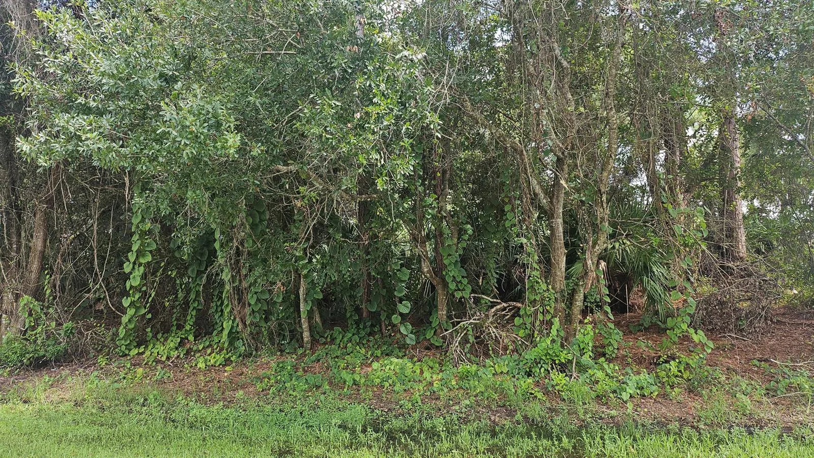 1757 SW Day Street, Port St. Lucie, FL 34953