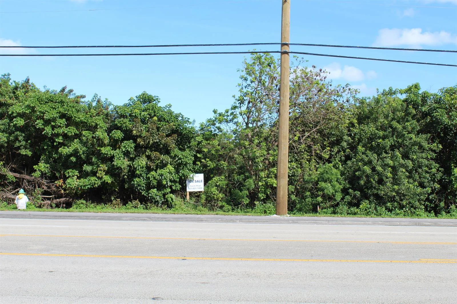 00 Davie Road, Davie, FL 33314