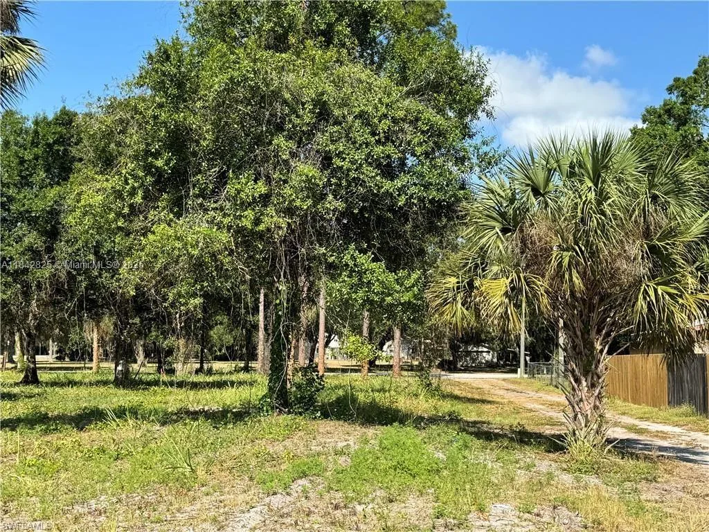 0 Magnolia Ave, La Belle, FL 33935 photo 4