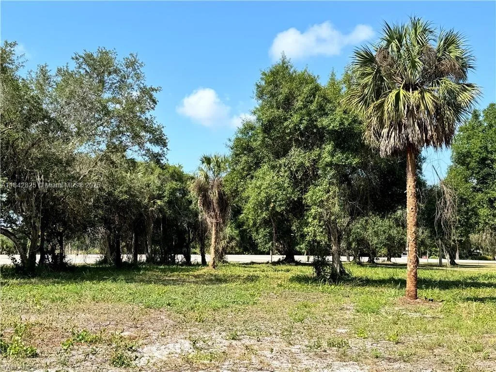 0 Magnolia Ave, La Belle, FL 33935 photo 5