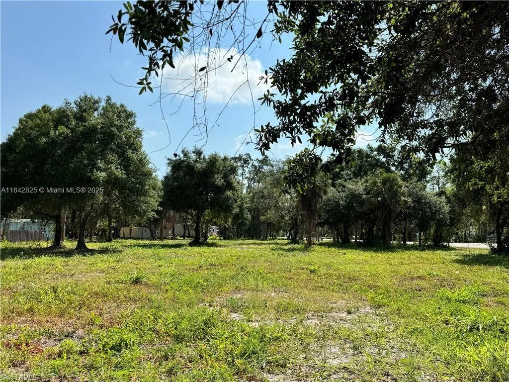 0 Magnolia Ave, La Belle, FL 33935 photo 6