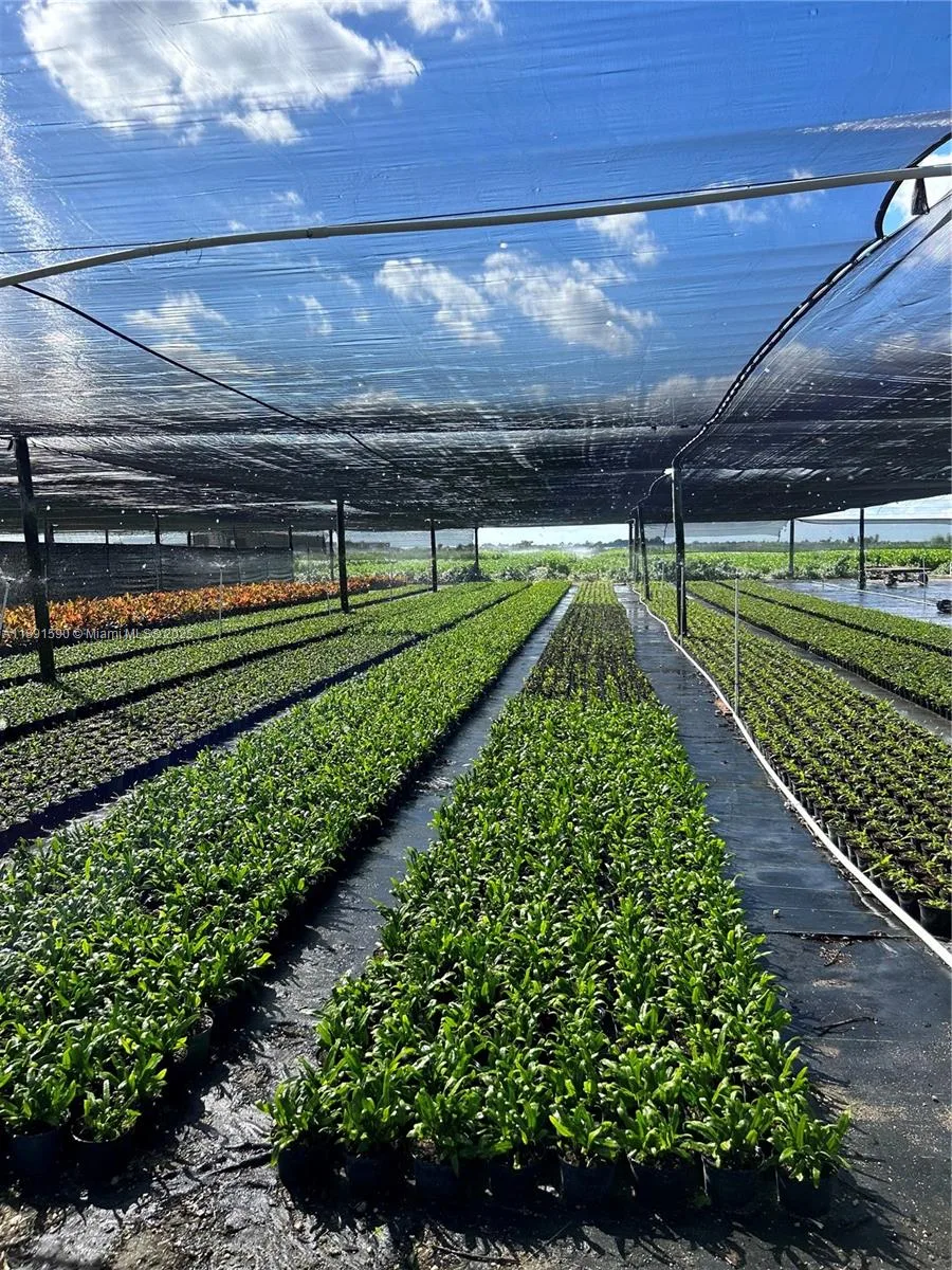 krome, Homestead FL 33034 photo 13