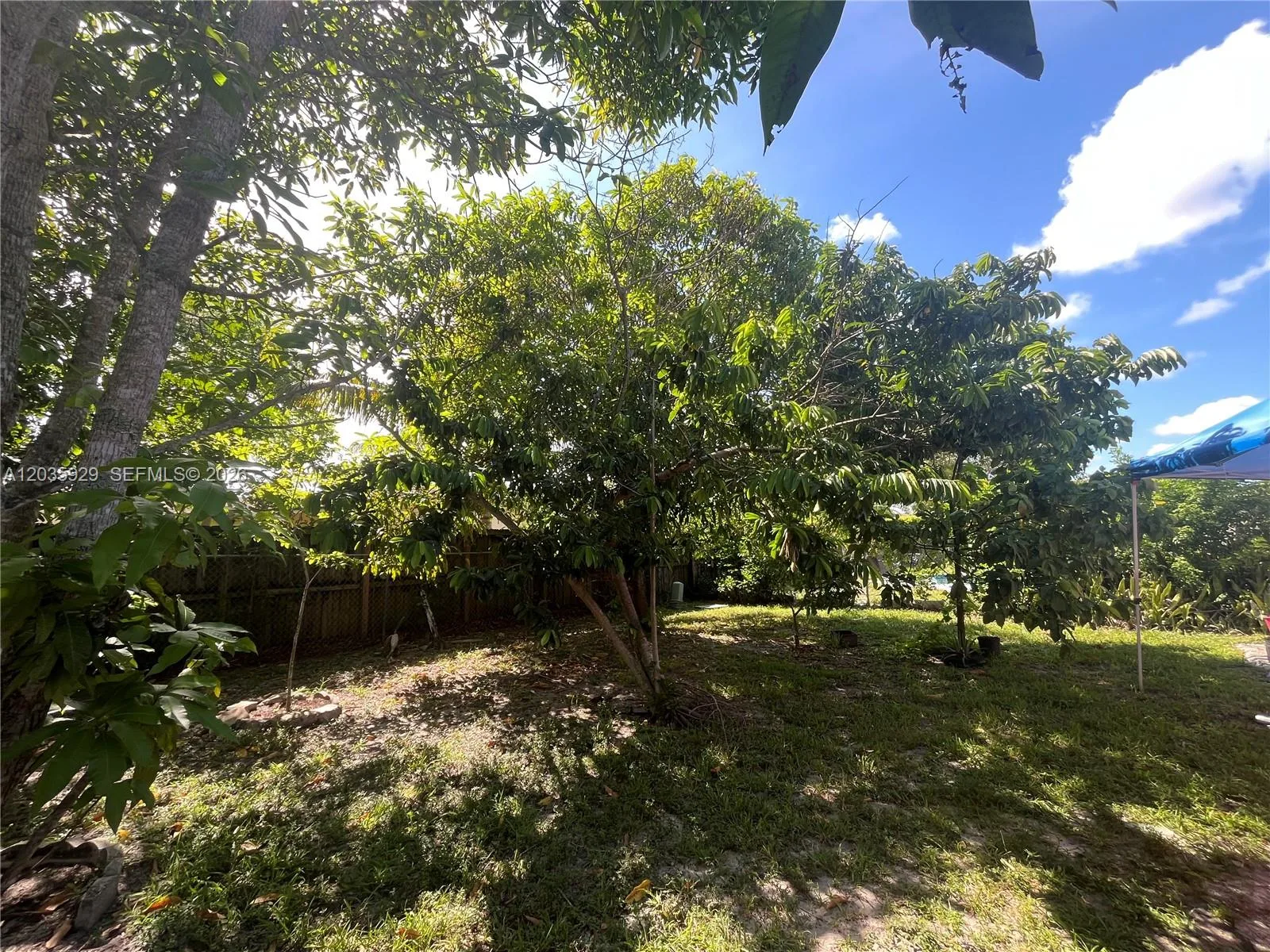 314 SW 79th Way, North Lauderdale, FL 33068 photo 11