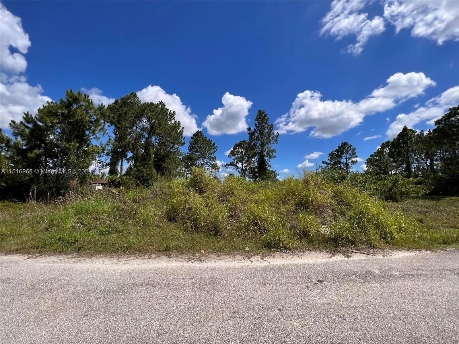 2913 33rd St SW, Lehigh Acres, FL 33976 photo 2