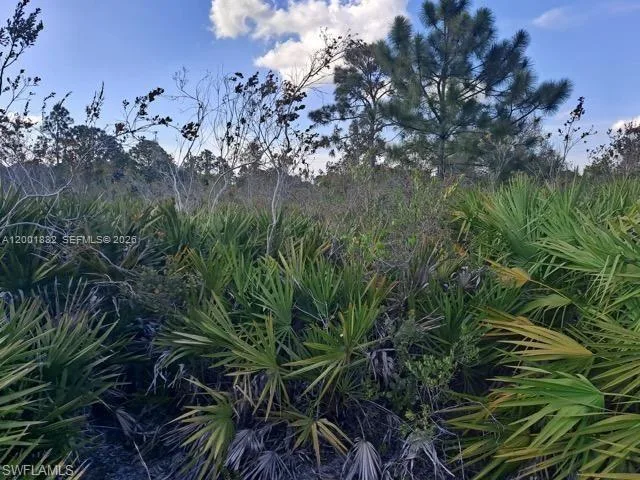 2708 38 ST W, Lehigh Acres, FL 33971 photo 4