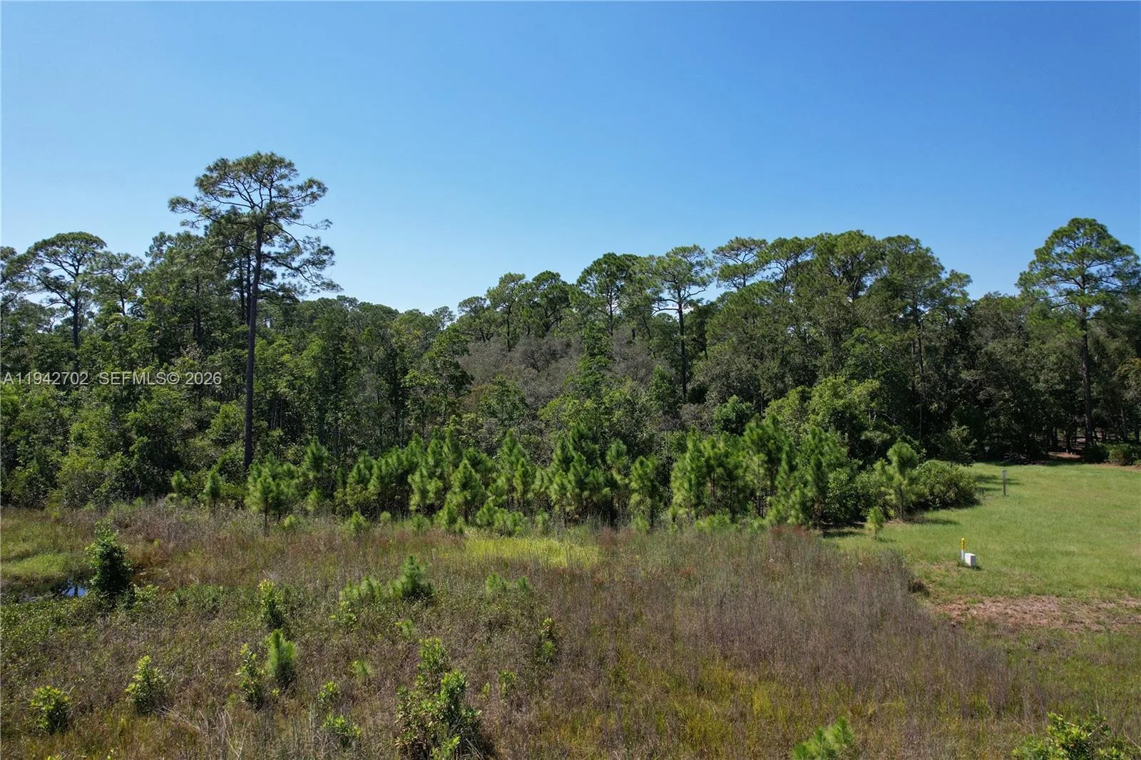0 JB CARTER RD, Other City - In The State Of Florida, FL 33844 photo 5