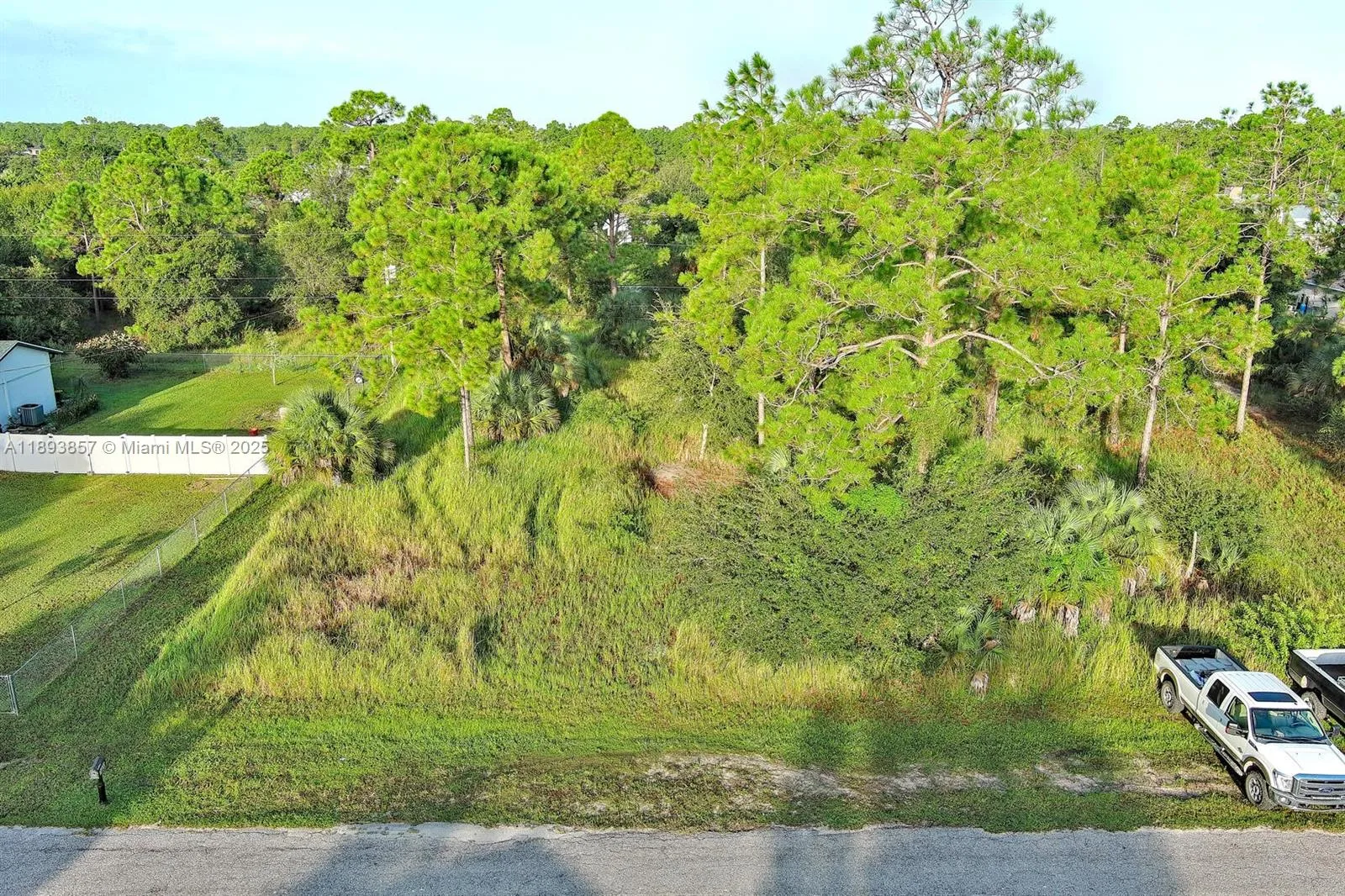 1407 MCKINLEY AVE, Lehigh Acres, FL 33972