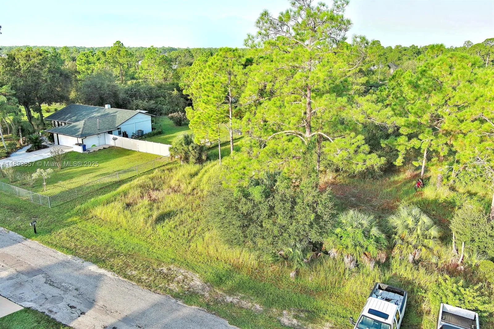 1407 MCKINLEY AVE, Lehigh Acres, FL 33972 photo 4