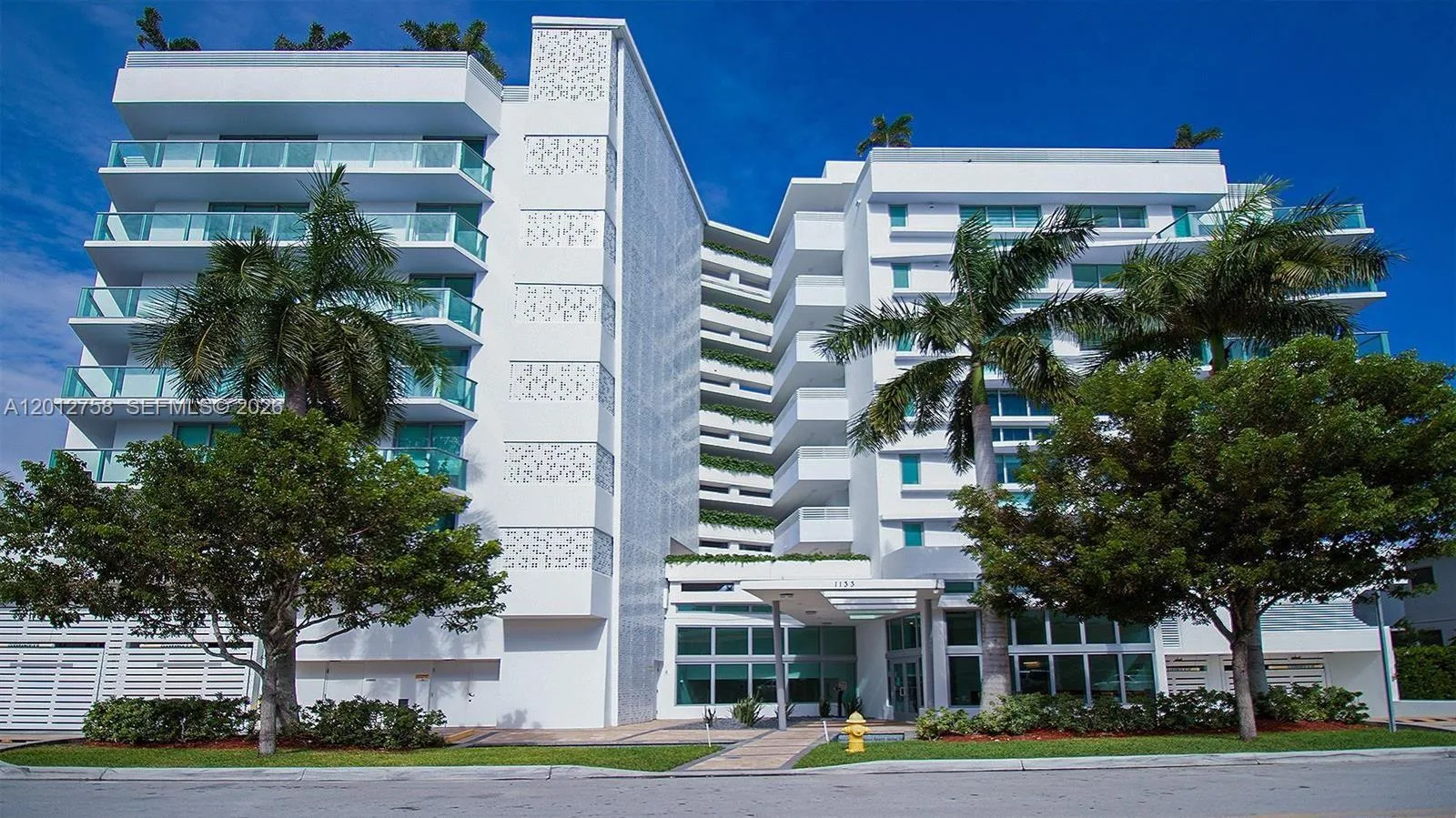 The Palms
