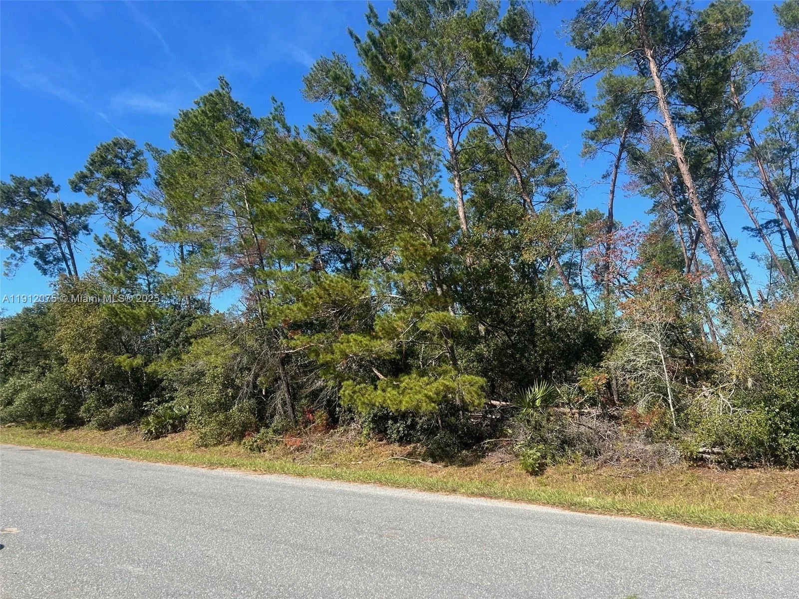 TBD 112th St, Ocala, FL 34476