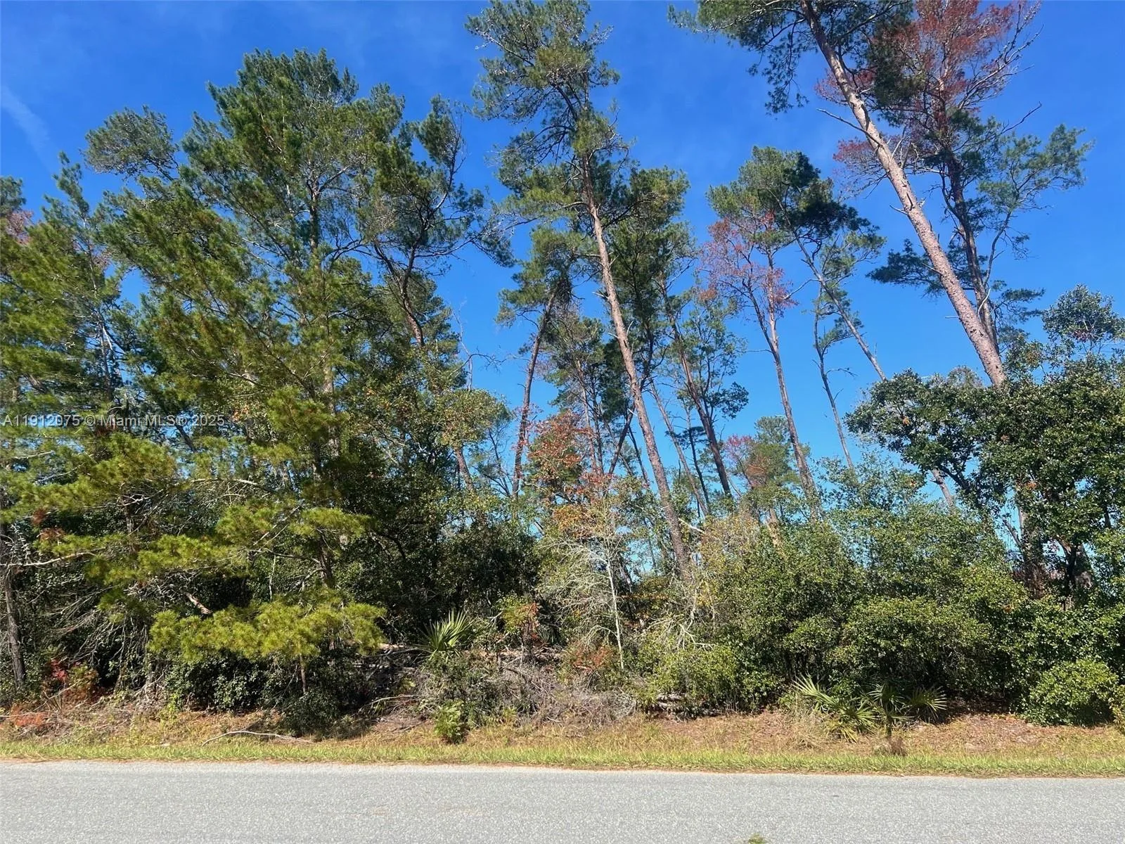 TBD 112th St, Ocala, FL 34476 photo 2