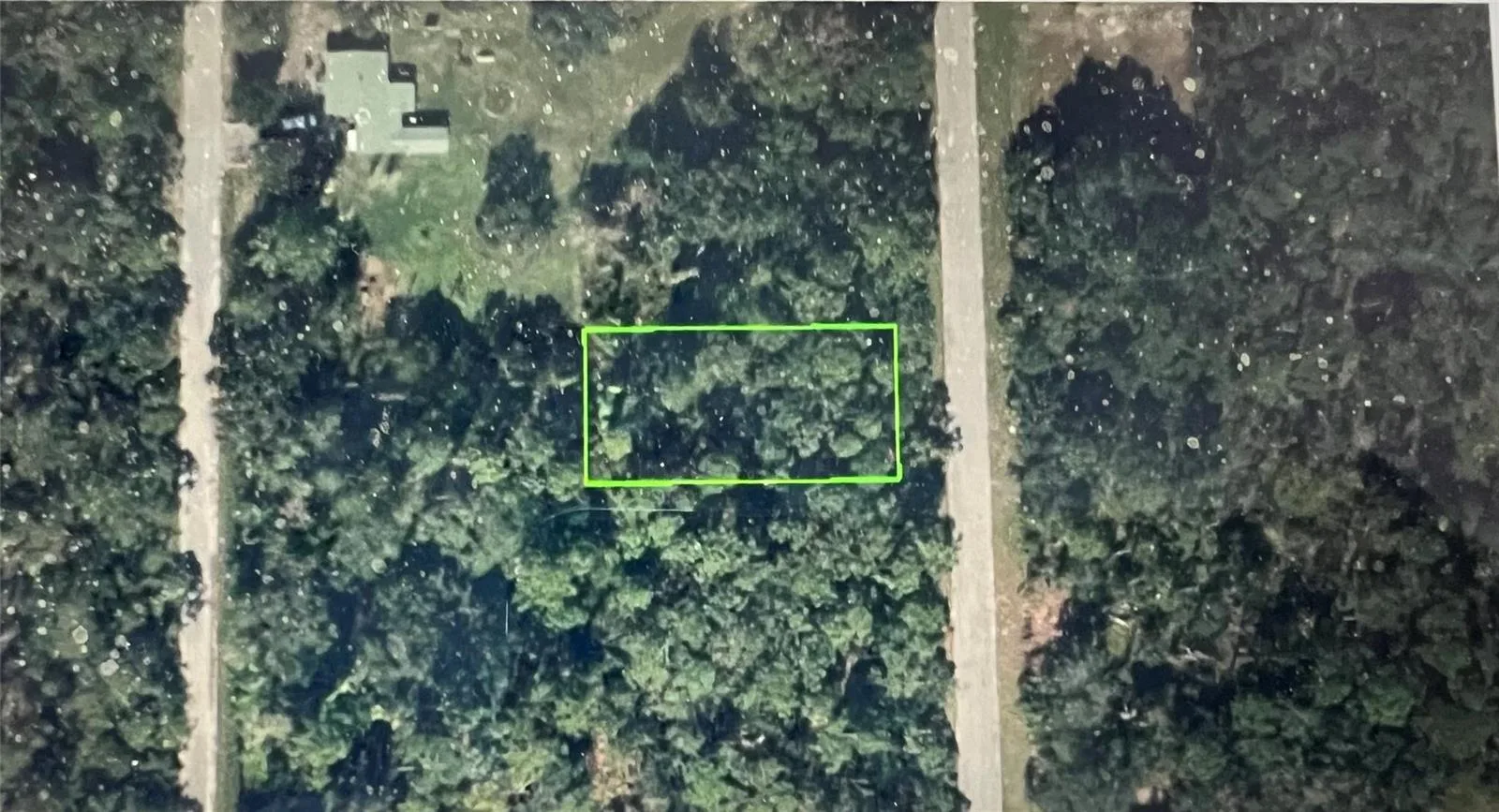448 Fletcher Avenue, Lake Placid, FL 33852 photo 6