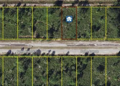 0 Palm Avenue, FL 33855