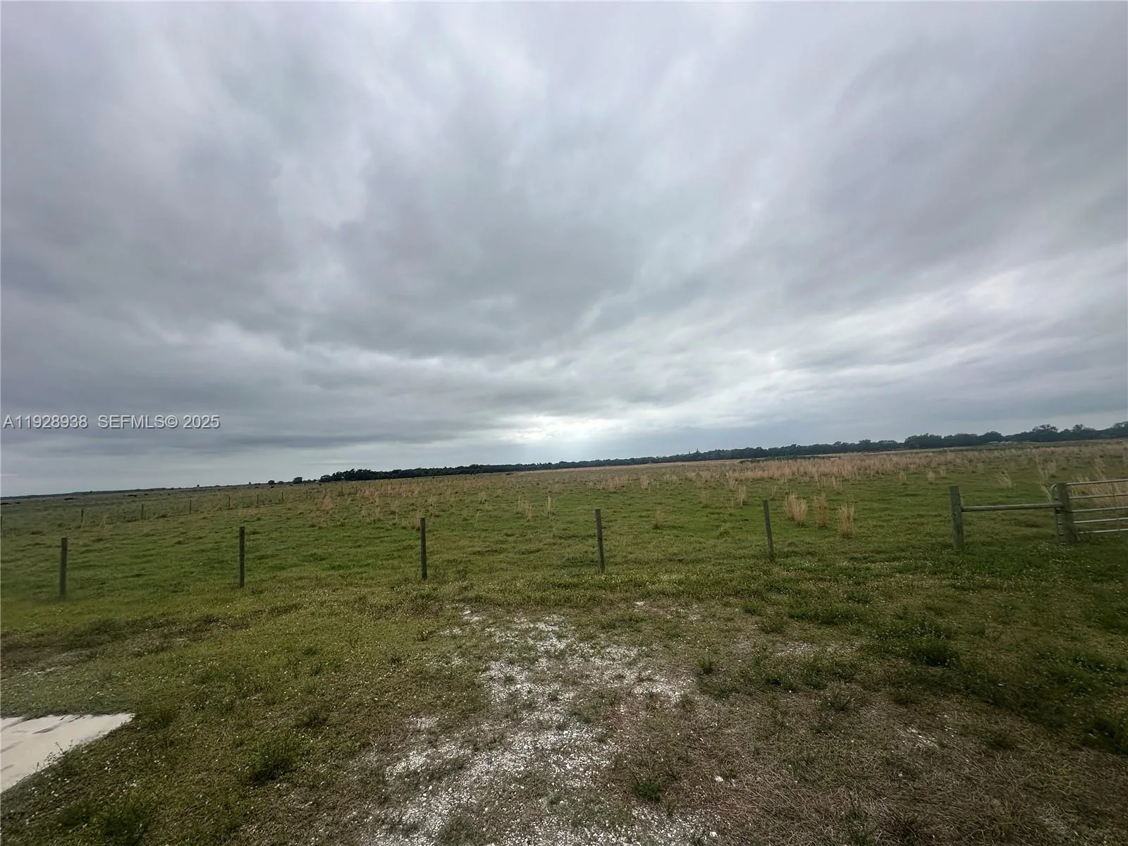 16124 NW 220TH ST, Okeechobee, FL 34972 photo 3