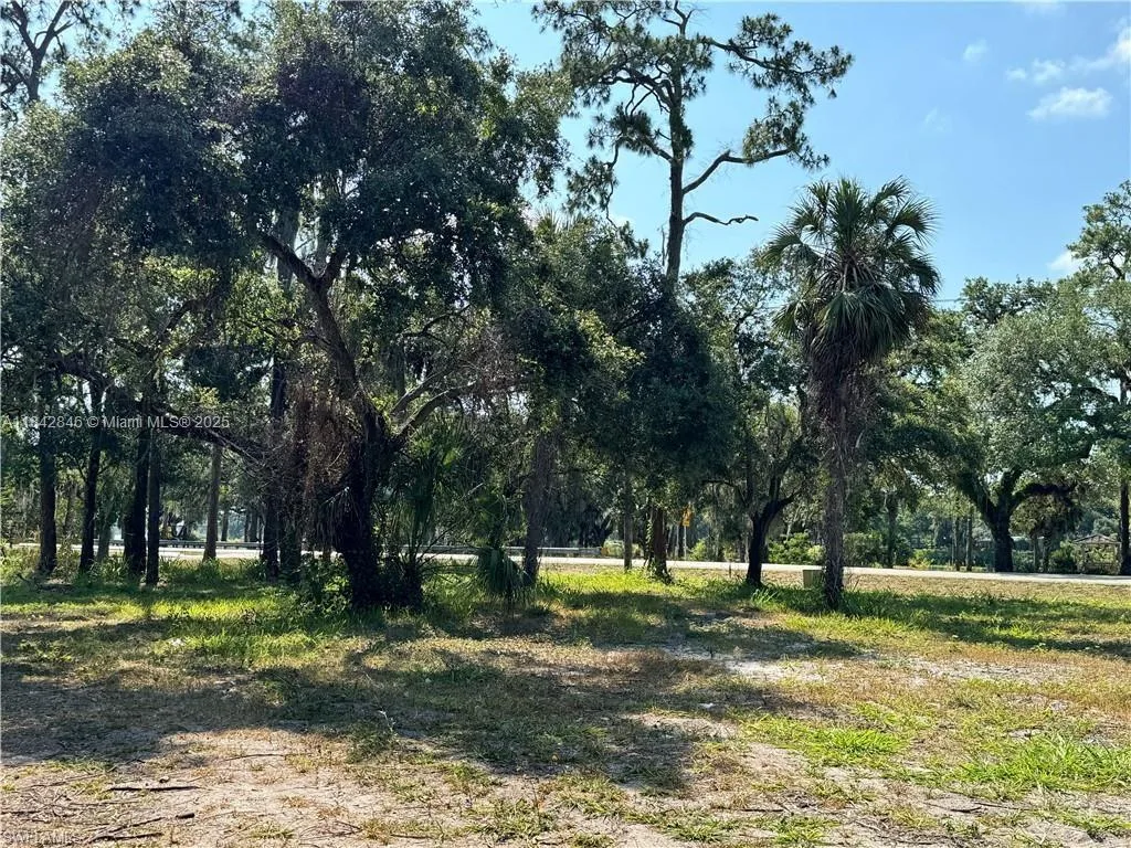 500 Avalon Ave, La Belle, FL 33935 photo 3
