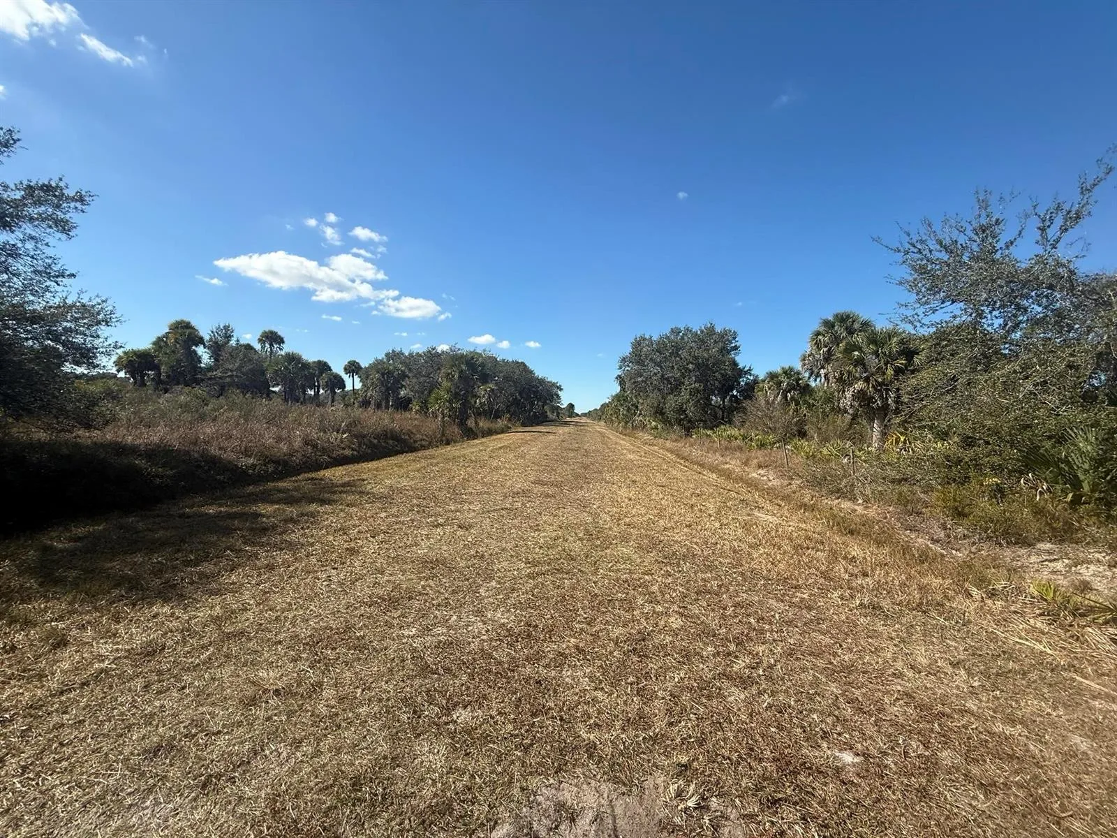 17065 NW 306th Street, Okeechobee, FL 34972 photo 11