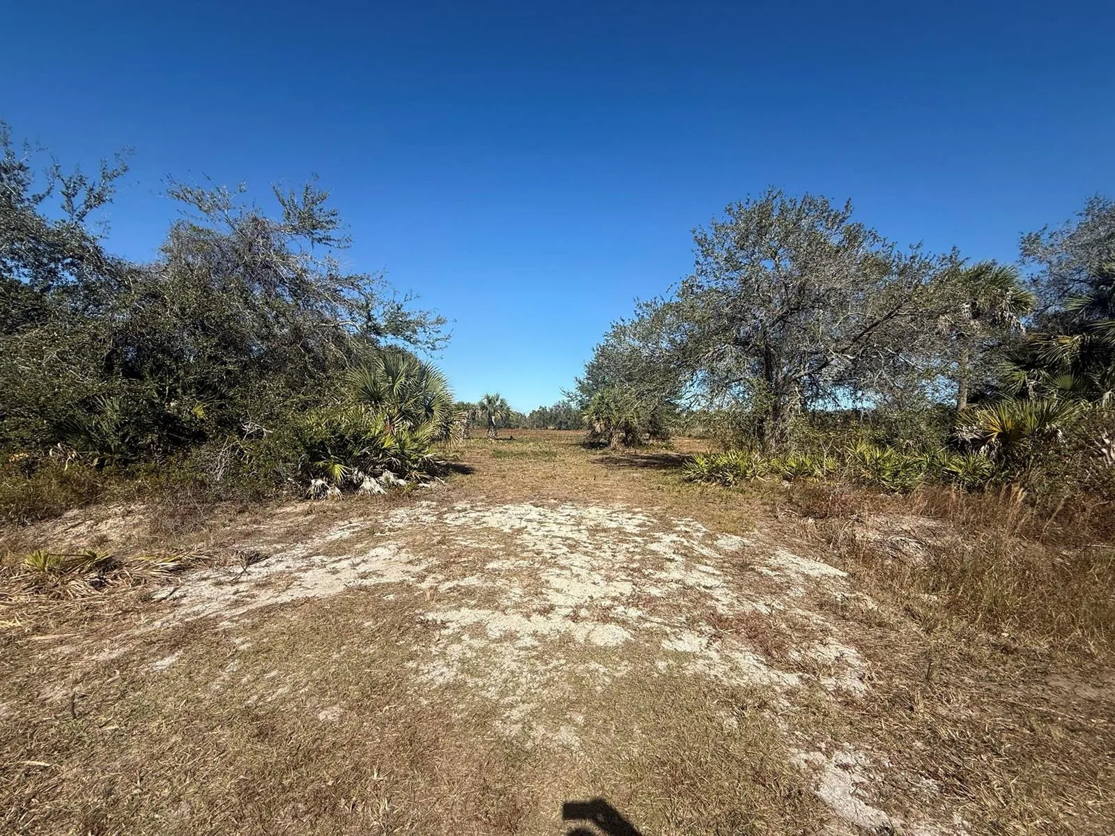 17065 NW 306th Street, Okeechobee, FL 34972 photo 12