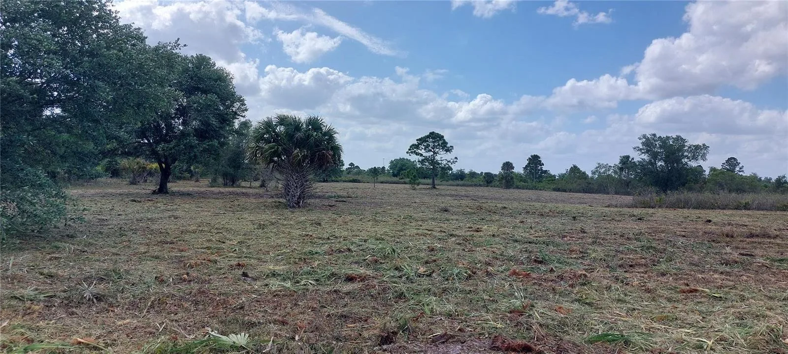 17065 NW 306th Street, Okeechobee, FL 34972 photo 13