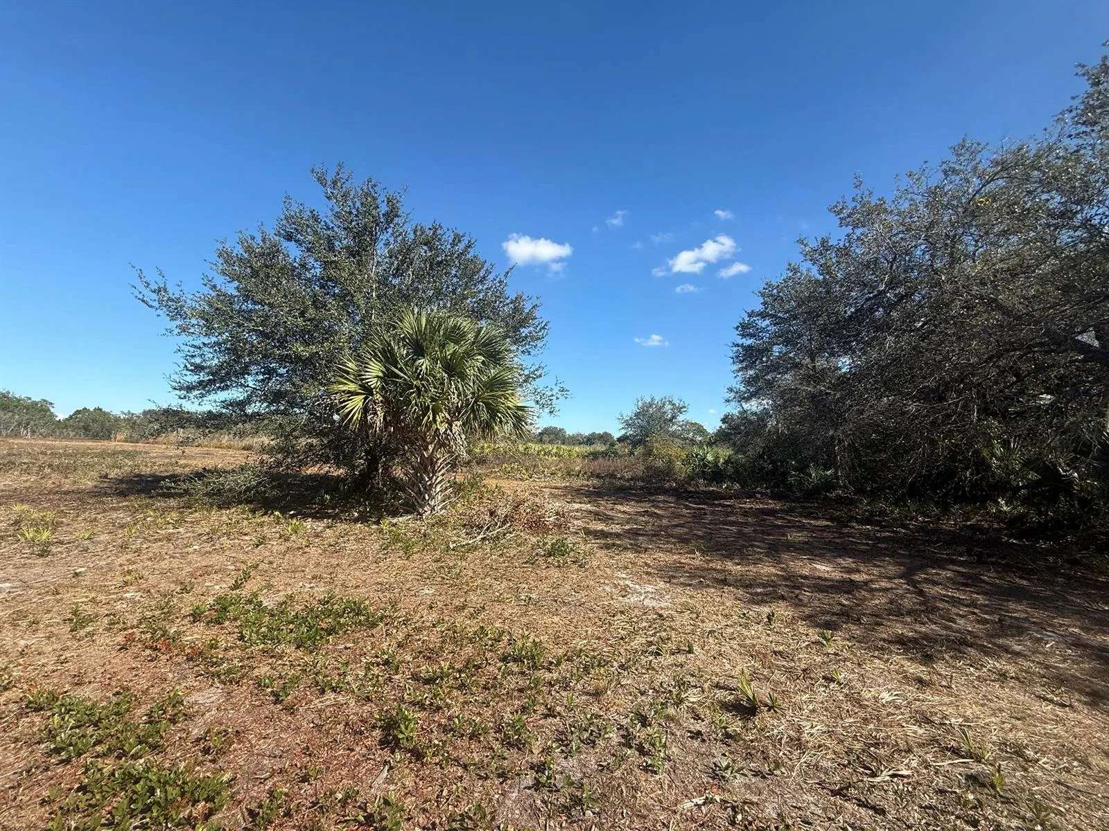 17065 NW 306th Street, Okeechobee, FL 34972 photo 2