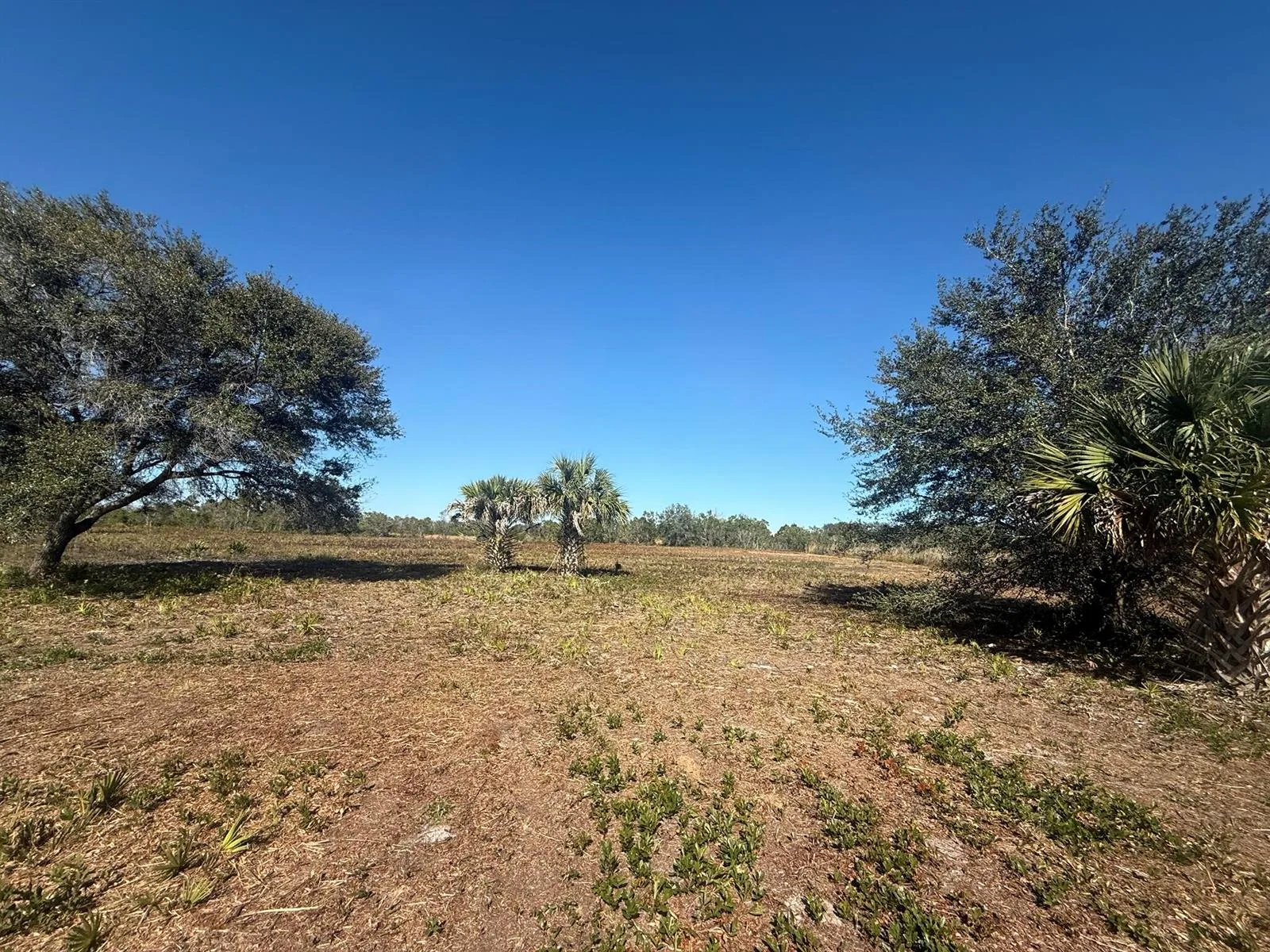 17065 NW 306th Street, Okeechobee, FL 34972 photo 7