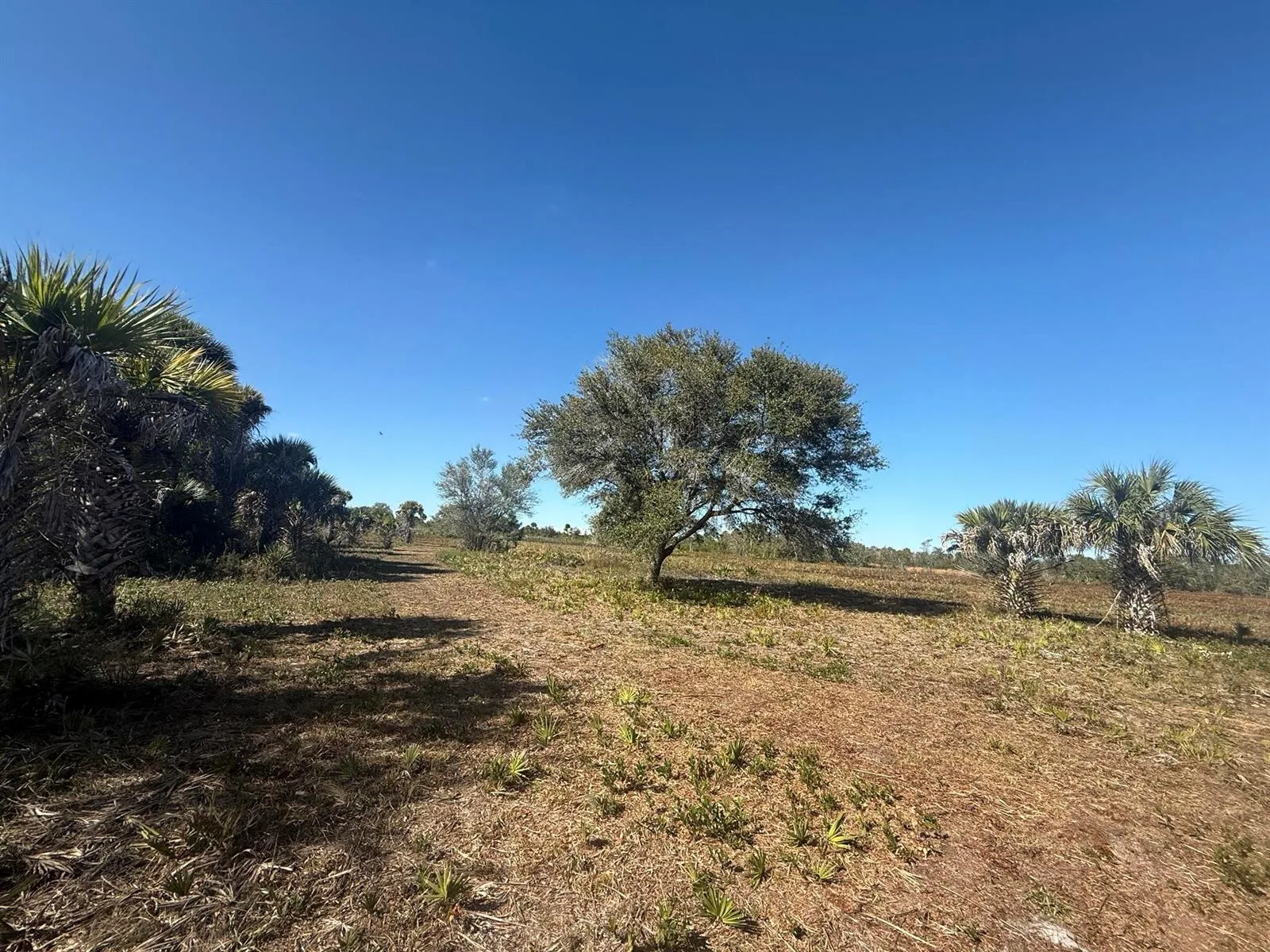 17065 NW 306th Street, Okeechobee, FL 34972 photo 8