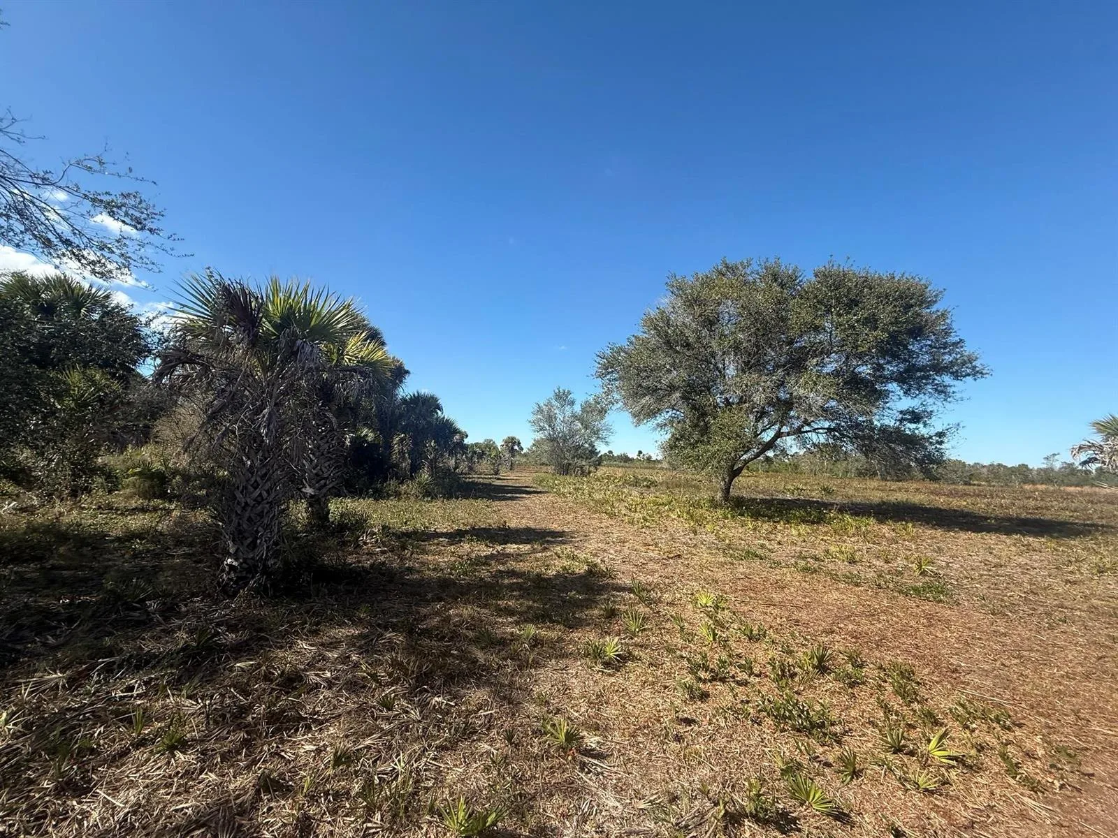 17065 NW 306th Street, Okeechobee, FL 34972 photo 9