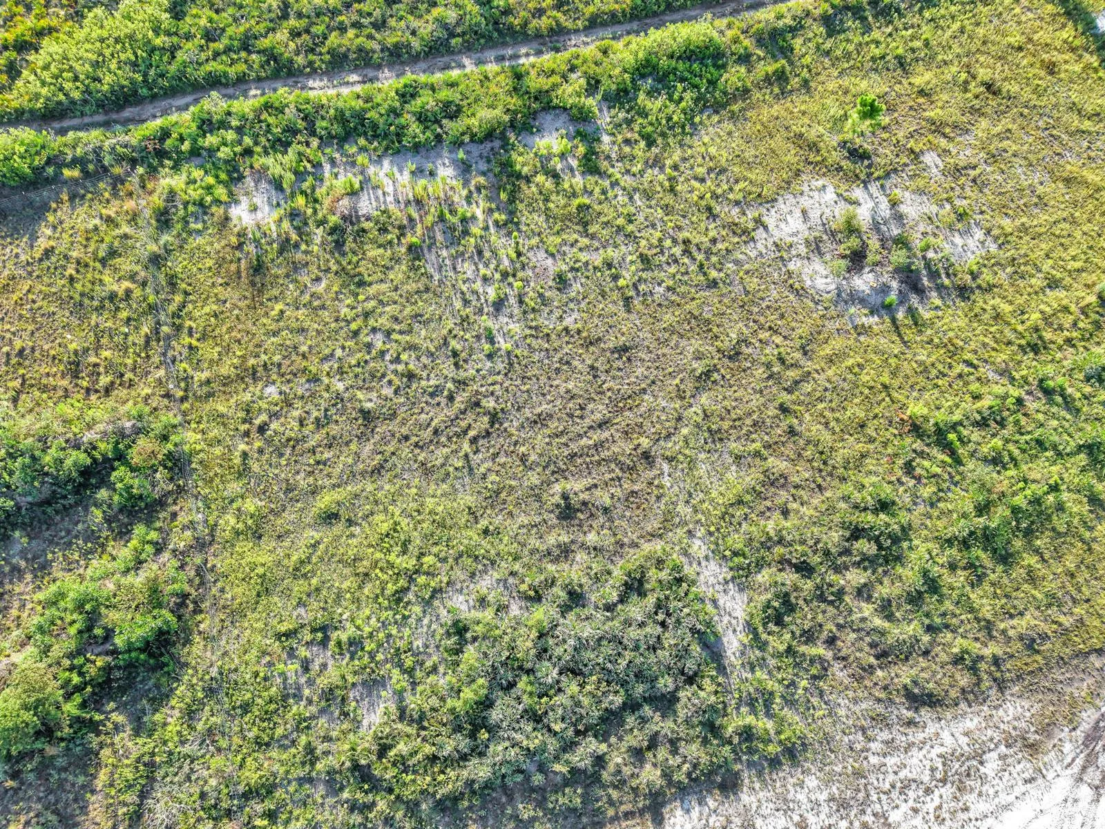22184 NW 278th Street, Okeechobee, FL 34972 photo 10